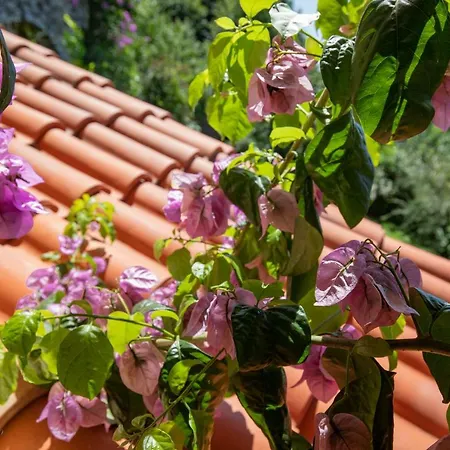 Villa Romantica Sea View * Camaiore