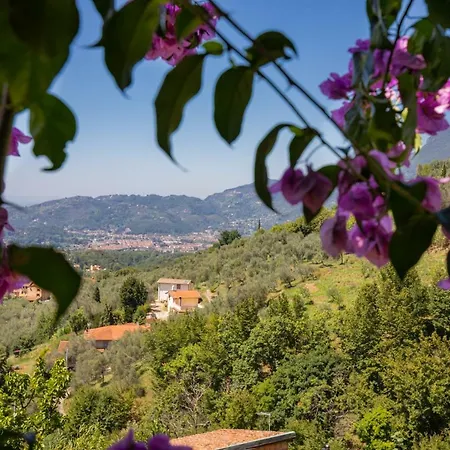 Villa Romantica Sea View *
